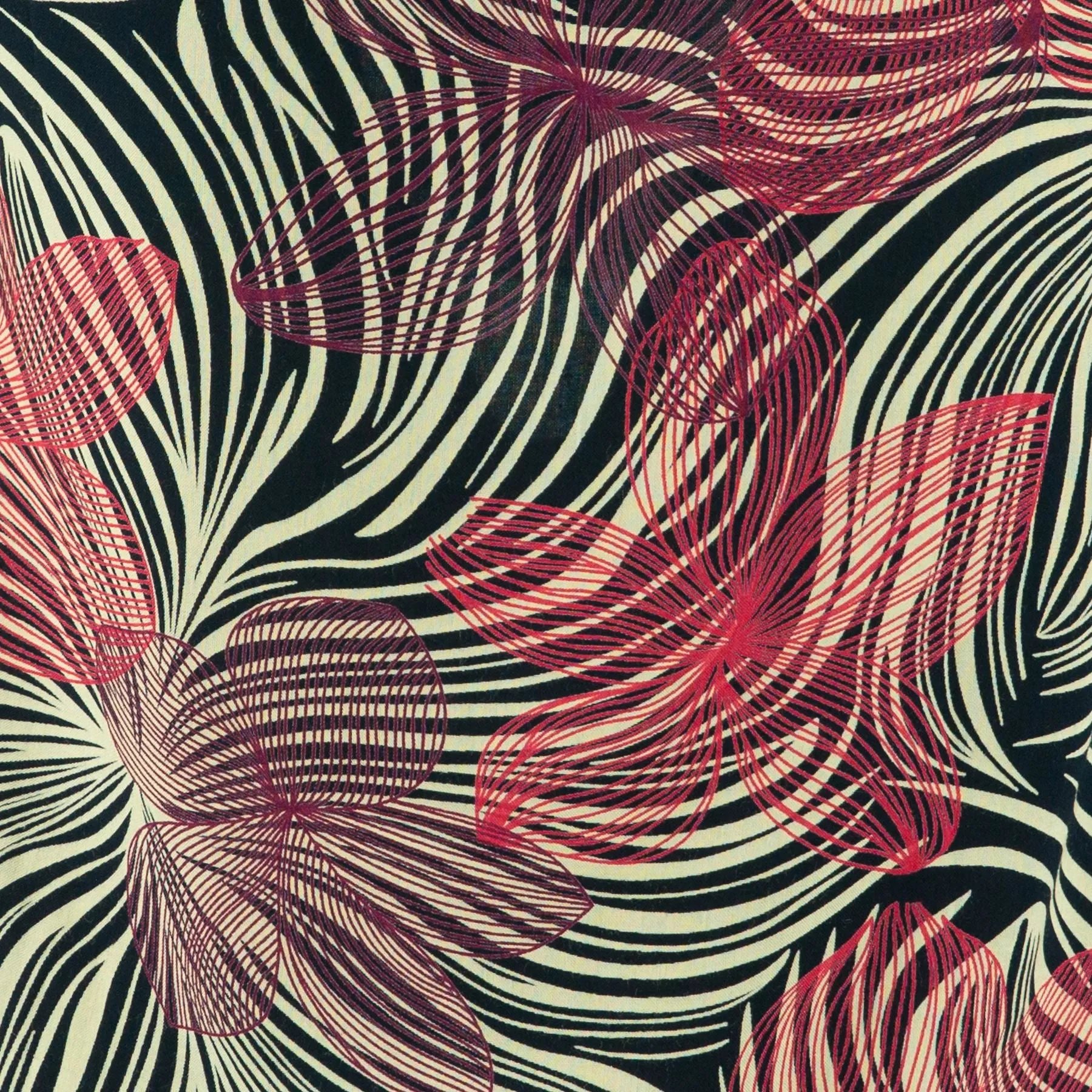 Box Top - Efflorescent Zebra Red